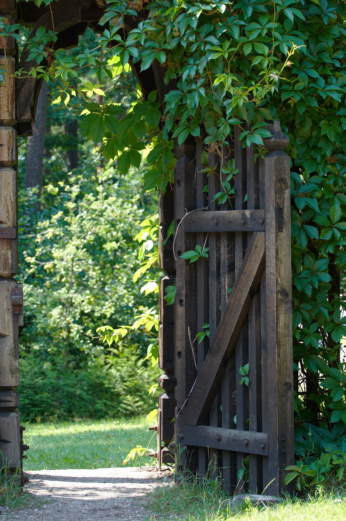Narrow Gate