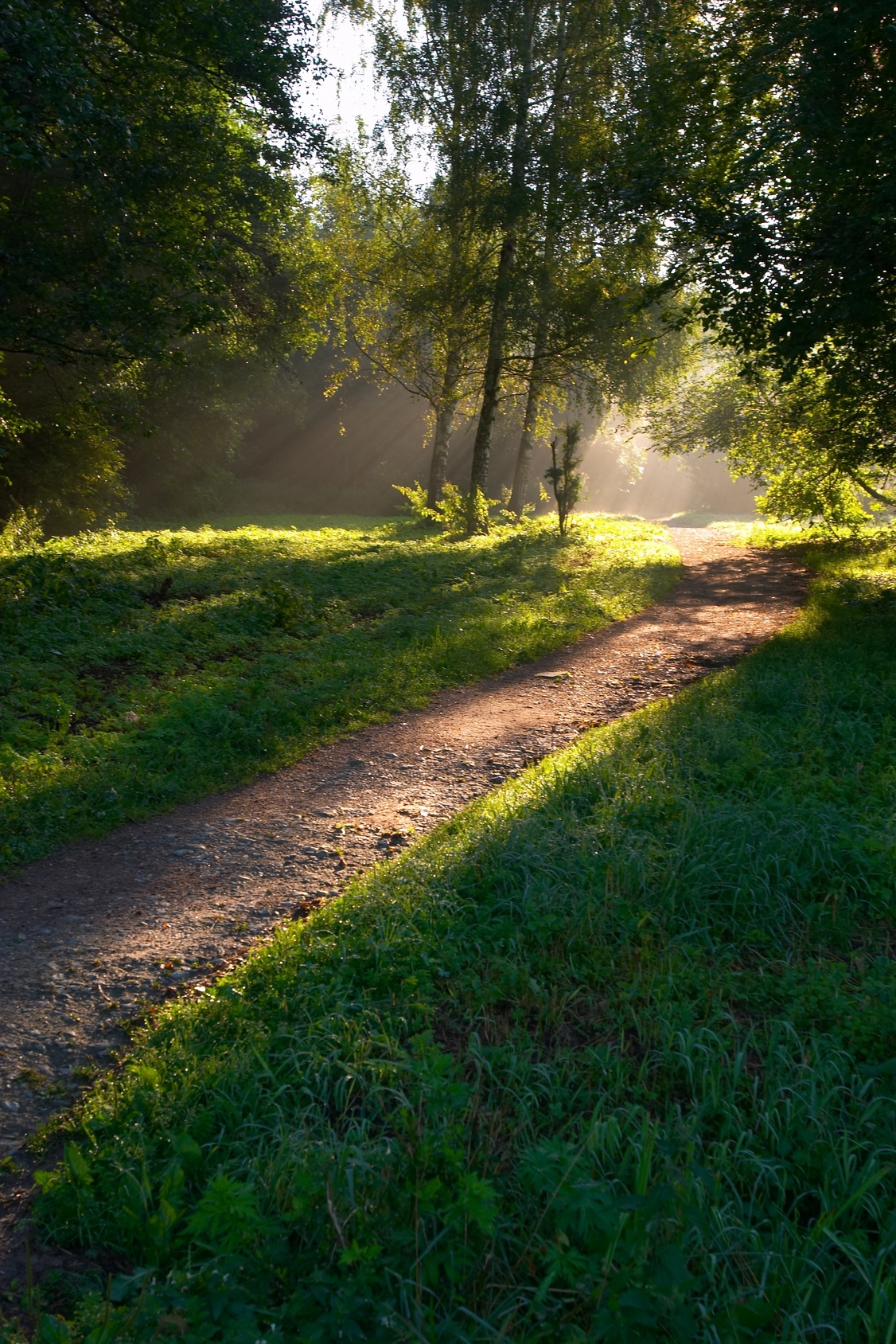 Our Path